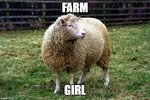 Farm girl sheep.jpg