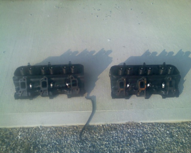 heads1.jpg