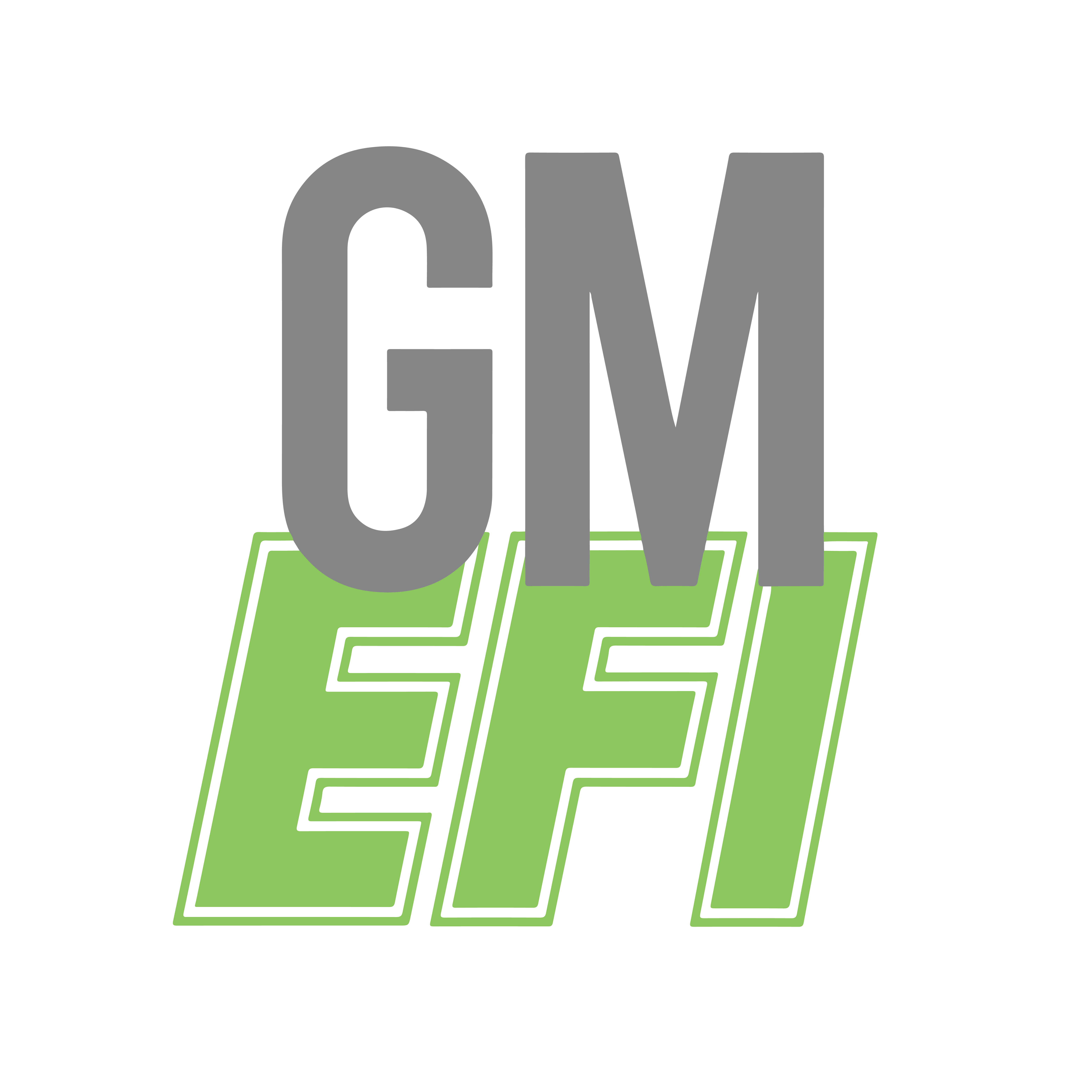 gm-efi.com