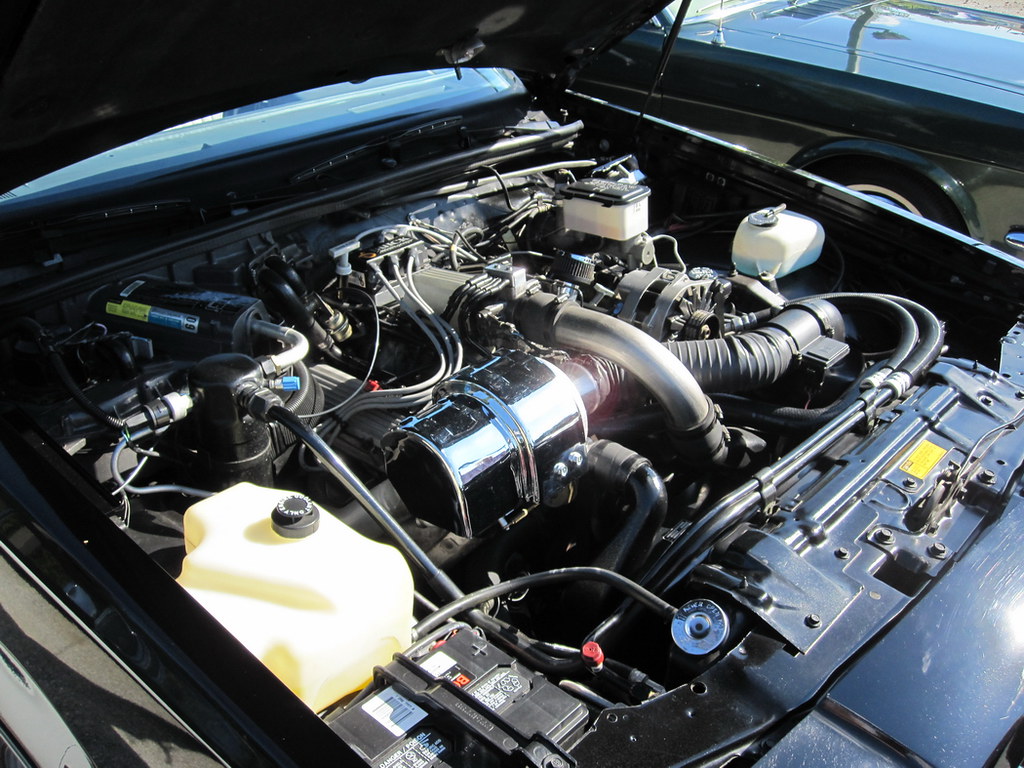 4756551722_240bf96e87_b.jpg
