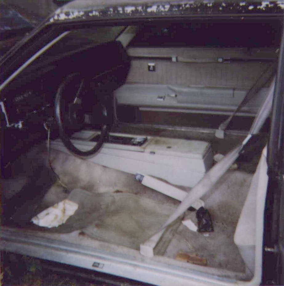 interior.jpg