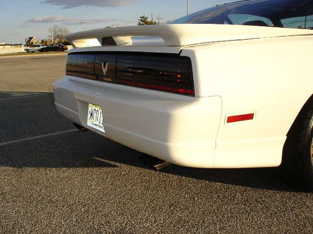 ttarearbumper6in.jpg