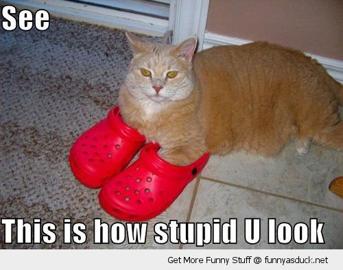 funny-look-stupid-crocs-shoes-pics.jpg