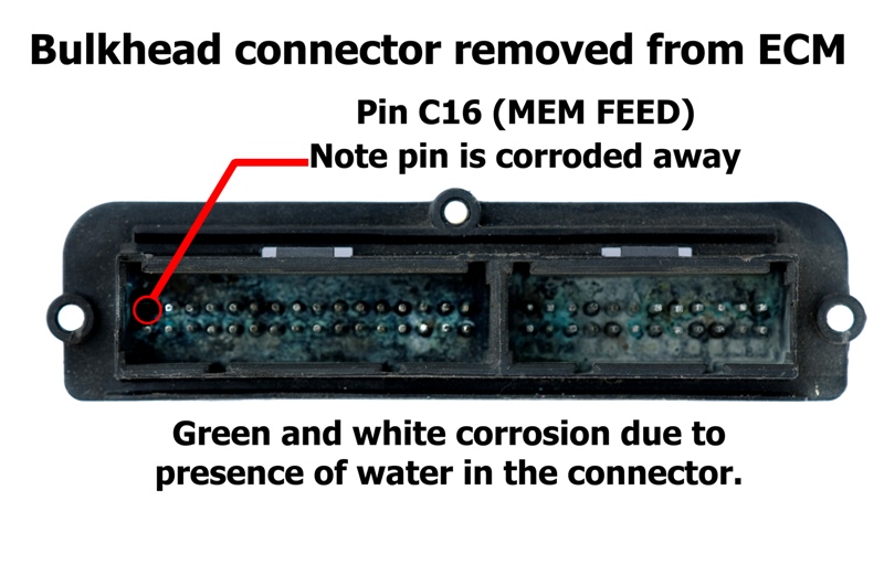 ecm_bulkhead_water_damage.jpg