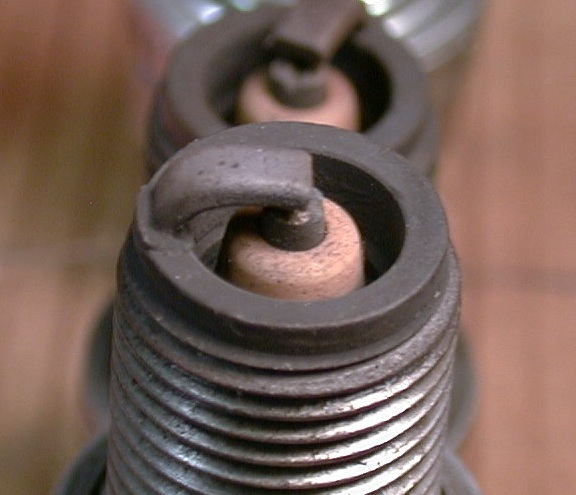 saltandpepper.jpg