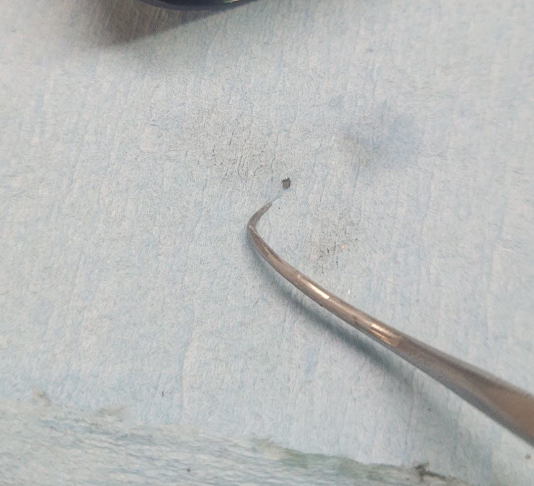 AP1GczOHmh1oOkAKVuJbjhQQm_o-8qSnED-FPwTDdL0jV-IPBm14j6QhtVO_pDIL9dvf_Sffm_ljuTd51M_Pjnx6b_bjQ7nl5mrL6Y4QrFCmEbhpqrUTYXUy=w1080